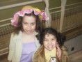 /album/arraia-adventista/sam-4491-jpg/